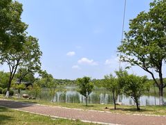 -贡湖湾湿地公园