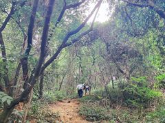 -广州市白云山风景名胜区