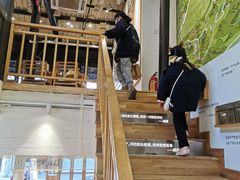 -猫的天空之城概念书店(杭州南宋御街店)