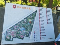 -曹州牡丹园