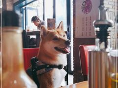 -LA MAISON公鸡和龙(蛇口店)