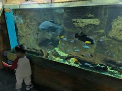 -嘉兴海底世界