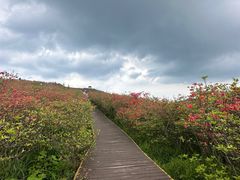 -大围山国家森林公园