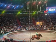 -俄罗斯国家大马戏团