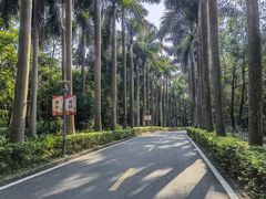 -广东茂名森林公园