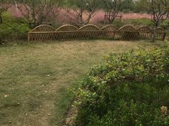 -昆山城市生态森林公园