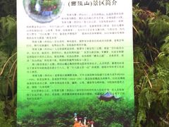 upload_pic-大明山自然探索公园