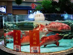 -湾仔渔村(高明店)