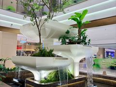 -国芳中心