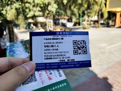 -西双版纳傣族园