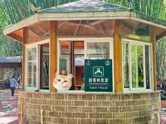 -英西峰林·洞天仙境