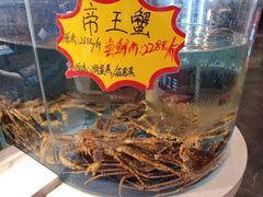 -必点海鲜·鲅鱼水饺(鞍山西道店)