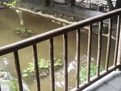 -天怡·鱼工厂(梅溪湖店)