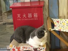 -小时光咖啡馆(开森度假森林店)