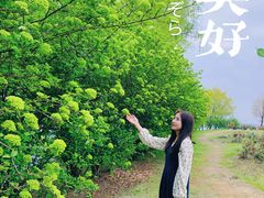 -漕湖湿地公园