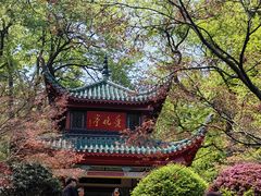 -岳麓山风景名胜区