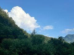 -牛背梁国家森林公园