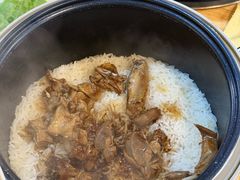 -一煲鸽