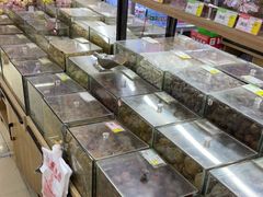 -苏州蜜字牌蜜饯(东环店)