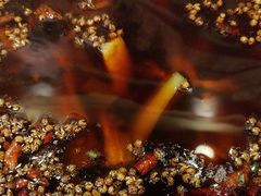 -陈胖子特色菜.鲜货现炒(融景城店)