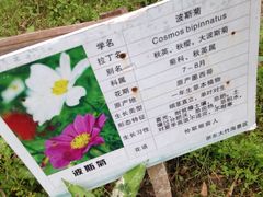 -宁波浙东大竹海景区