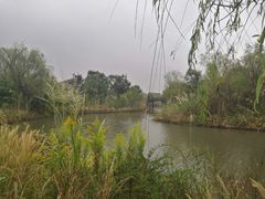 -梁鸿国家湿地公园