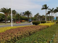 -椰风寨