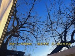 -北京鲁迅博物馆(北京新文化运动纪念馆鲁博馆区)