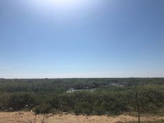 -北海金海湾红树林生态旅游区