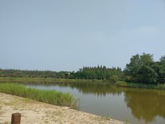 -崇明东平国家森林公园烧烤房车露营地