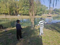 -九科绿洲