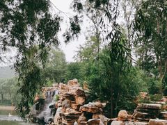 -石家庄市动物园