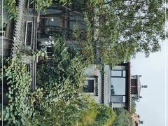 -老张烤羊(王哥庄店)