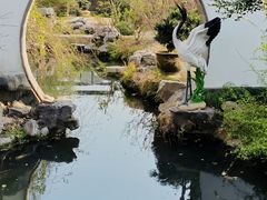 -上海醉白池公园