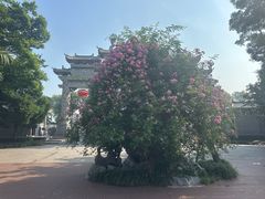 -安徽八里河旅游区