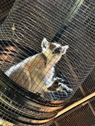 -Zoolung Zoolung动物主题公园(海信广场店)