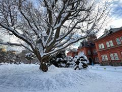 -北海道厅旧本厅舍(旧本庁舎)