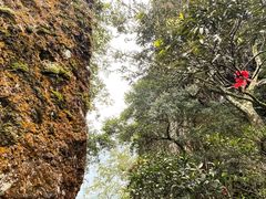 -七仙岭温泉国家森林公园