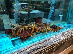 -海逸海鲜酒家(古北店)