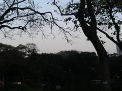 -屯门公园