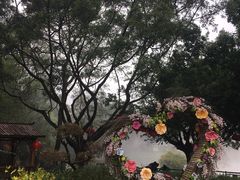 -广州莲花山旅游区