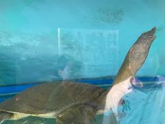 -食理八湘(中海城风情苑北区店)