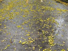 -桃花涧