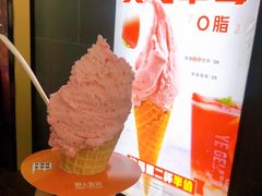 -野人先生现做冰淇淋(北京顺义祥云小镇店)
