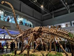 -自贡恐龙博物馆