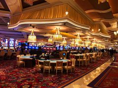 -拉斯维加斯永利酒店