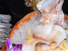 海螺片-凤园椰珍·臻品椰子鸡(保利时光里店)
