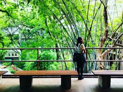 -香港大学