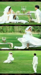 点击看大图 -金夫人婚纱摄影