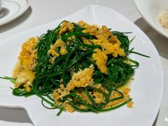 -喀什骑仕大观园